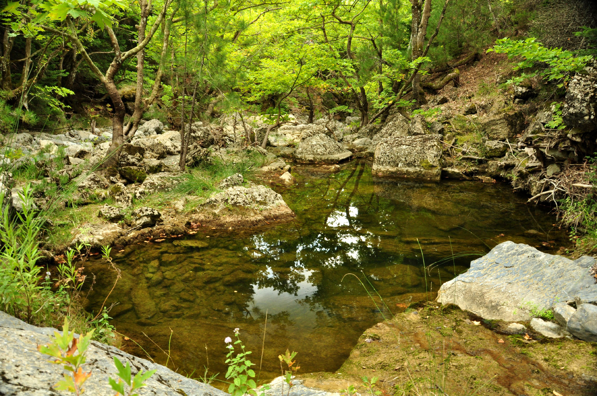 Drymona Waterfall